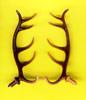 Plastic Antlers 1.5"